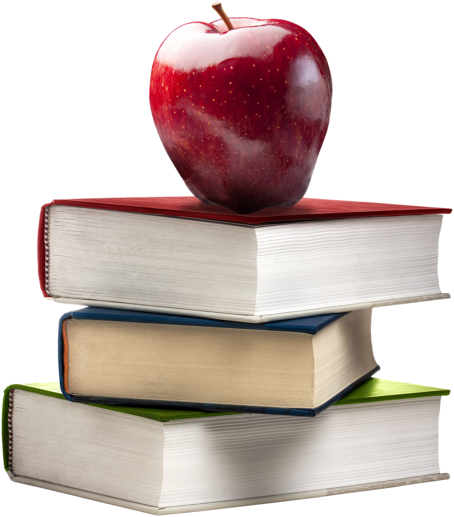 Image with text section